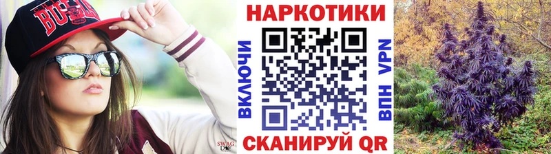 Где купить наркотики Кушва Галлюциногенные грибы  Меф мяу мяу  ГАШИШ  МАРИХУАНА 