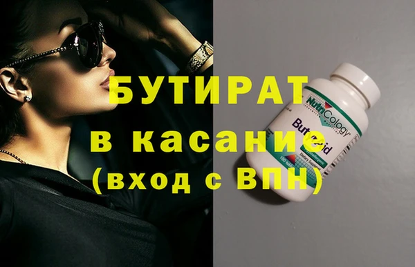 индика Бородино