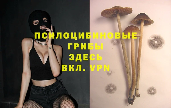 синтетический гашиш Беломорск