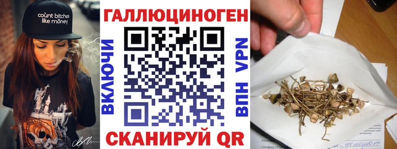 Галлюциногенные грибы Magic Shrooms  купить наркотики сайты  Кушва 